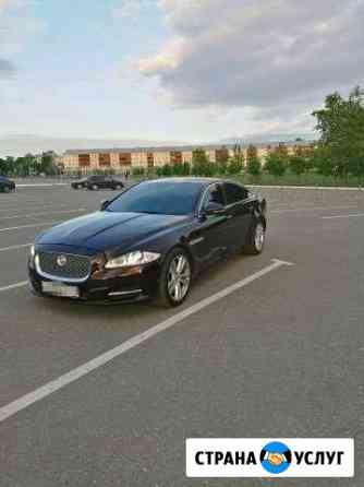 Сдам в аренду без водителя jaguar XJL Казань