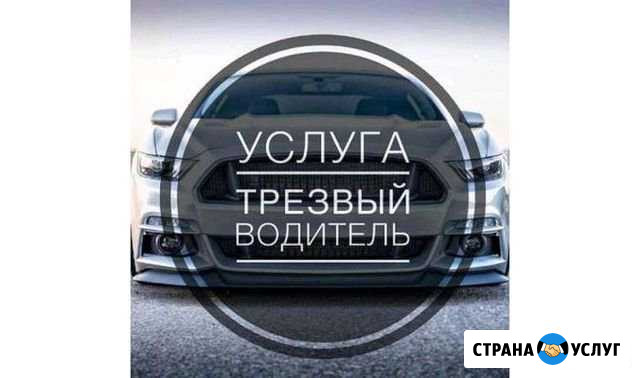 Трезвый водитель, пассажирские перевозки Иваново - изображение 1