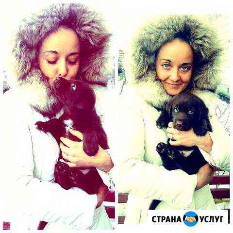 Выгул и передержка собак Москва