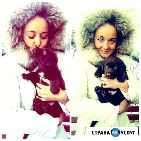 Выгул и передержка собак Москва - изображение 1