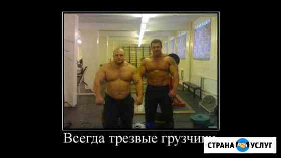 Грузчики Копейск