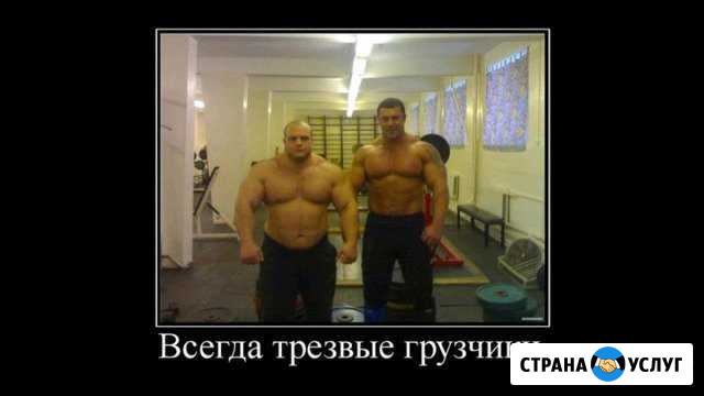 Грузчики Копейск - изображение 1