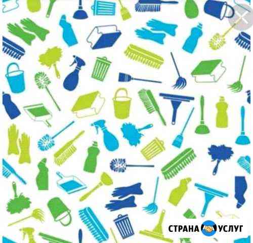Уборка квартир Большие Салы