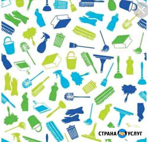 Уборка квартир Большие Салы