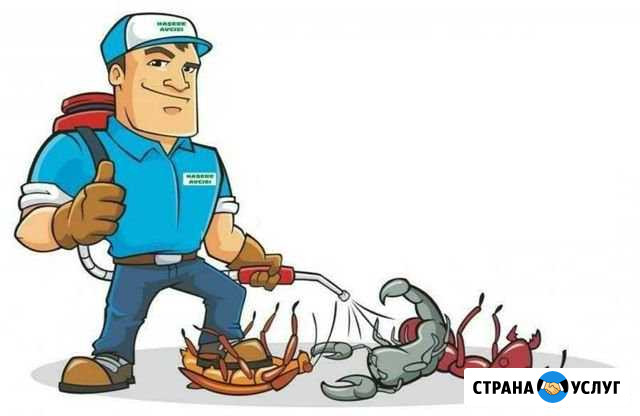 Дезинсекция Новокузнецк - изображение 1