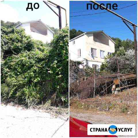 Расчистка участков спил деревьев покос травы Сочи