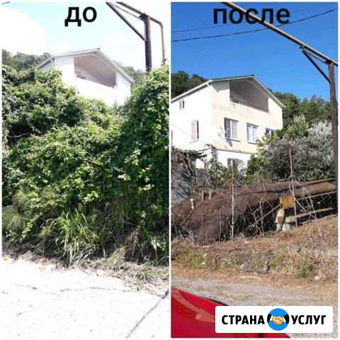 Расчистка участков спил деревьев покос травы Сочи - изображение 1