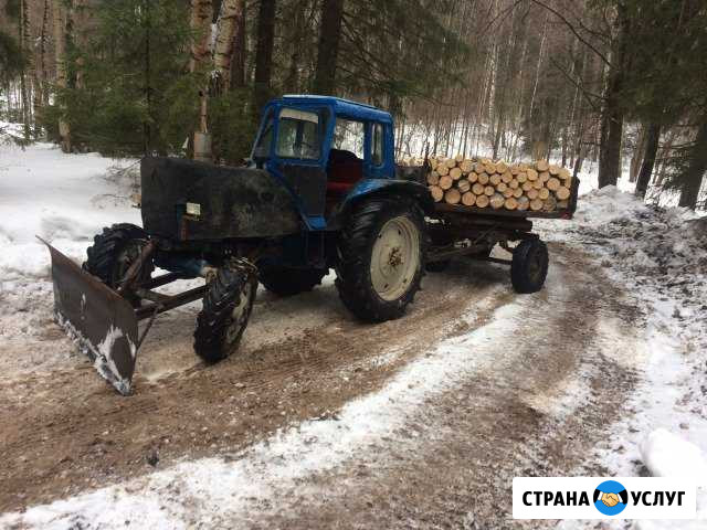 Продаю дрова берёзовые колотые.и чурбаками Дивеево - изображение 1