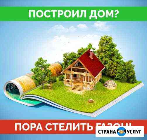Рулонный газон без очереди Азов