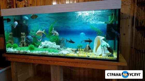 Русская баня на дровах Курск