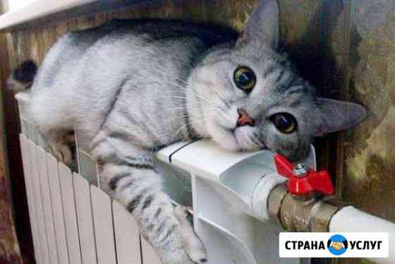 Сантехники Павлово