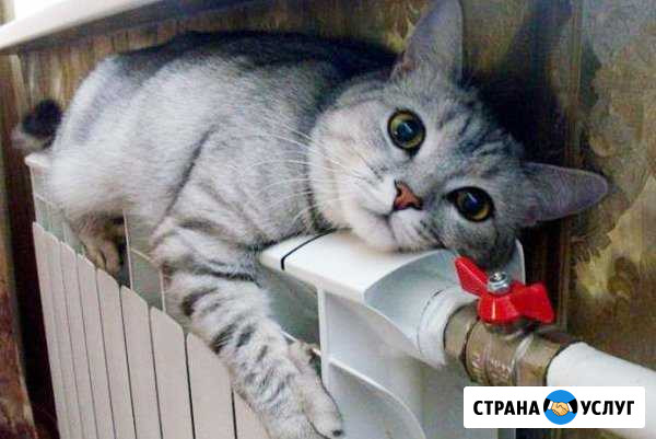 Сантехники Павлово - изображение 1