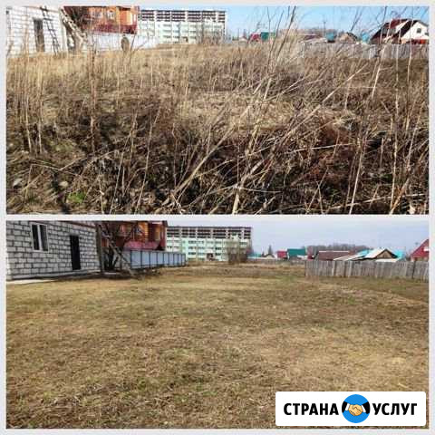 Расчистка участка. Вывоз отходов Уваровка - изображение 1