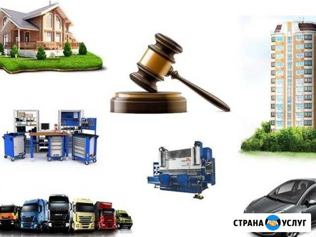 Услуги в сфере торгов по банкротству Тольятти - изображение 1