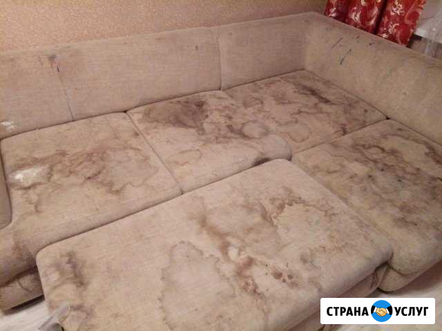 Выездная химчистка диванов, матрасов, ковров Челябинск - изображение 1