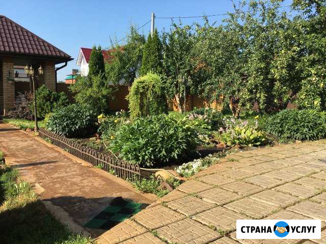 Передержка животных Самара - изображение 1