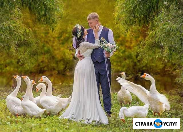 Фотосессии Благовещенск - изображение 1