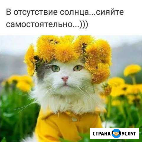 Английский язык Нижний Тагил - изображение 1