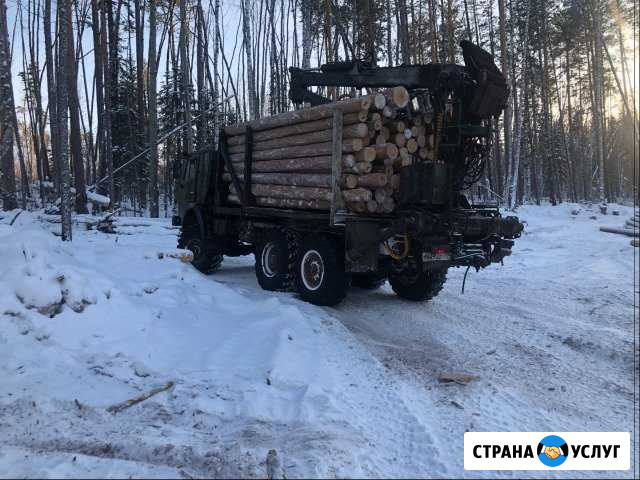Продам дрова Братск - изображение 1