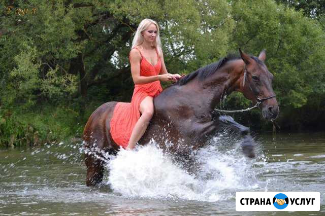 Универсальный мерин для индивидуальных занятий и а Чехов - изображение 1