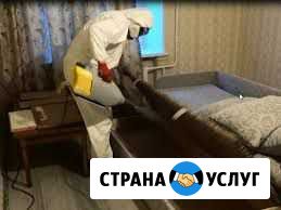 Санобработка Северодвинск - изображение 1