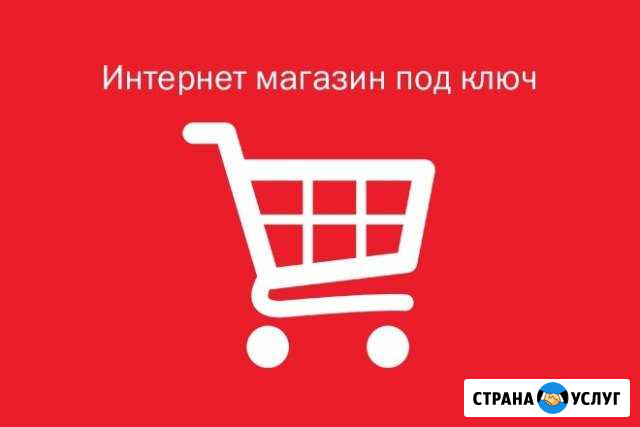 Создам сайт интернет-магазина с рекламой Мценск - изображение 1