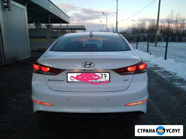 Прокат авто с водителем Калининград - изображение 1
