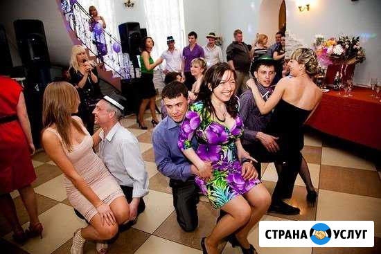 Диджей и ведущий на свадьбу или юбилей Кстово - изображение 1