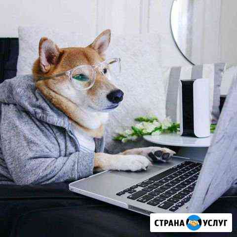 Создание сайтов Ставрополь
