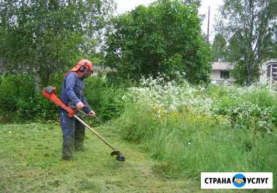 Расчистка участков Сочи