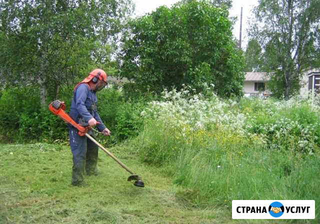 Расчистка участков Сочи - изображение 1