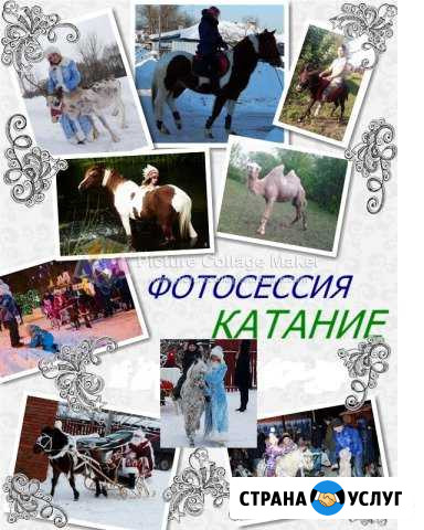 Пони Рассказово - изображение 1