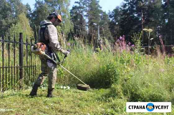 Покос травы. Расчистка участка Сертолово