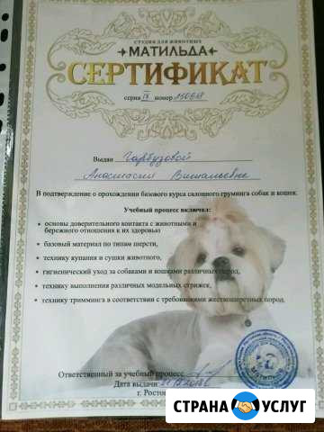 Груминг Большой Лог - изображение 1