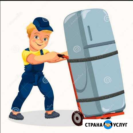 Вывоз ненужной бытовой техники и не только Александров - изображение 1