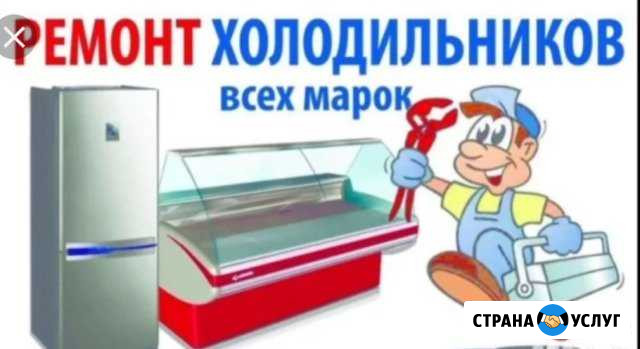 Ремонт холодильного оборудования Благовещенск - изображение 1