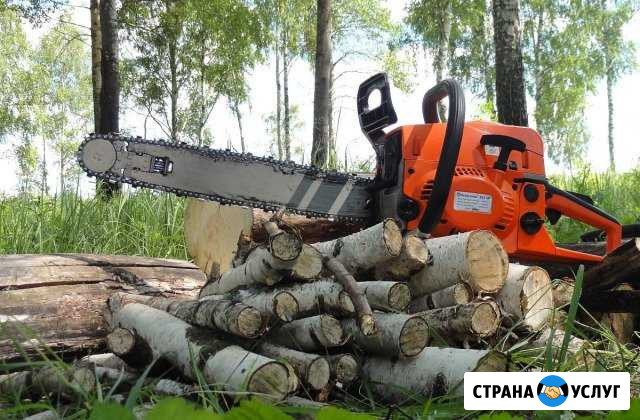 Провал, распил деревьев Медведовская - изображение 1