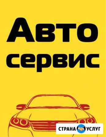 Сто-Шиномонтаж Димитровград