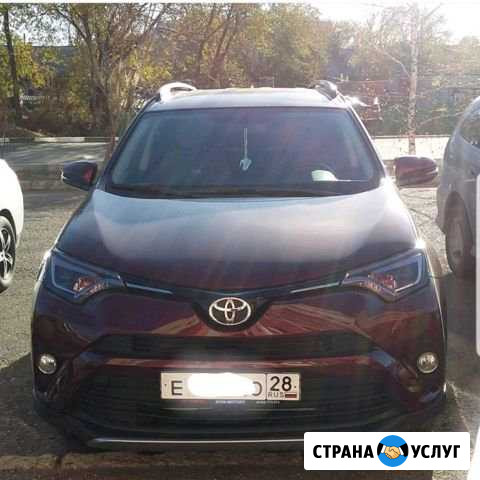 Сдаётся автомобиль RAV4 с водителем Свободный - изображение 1