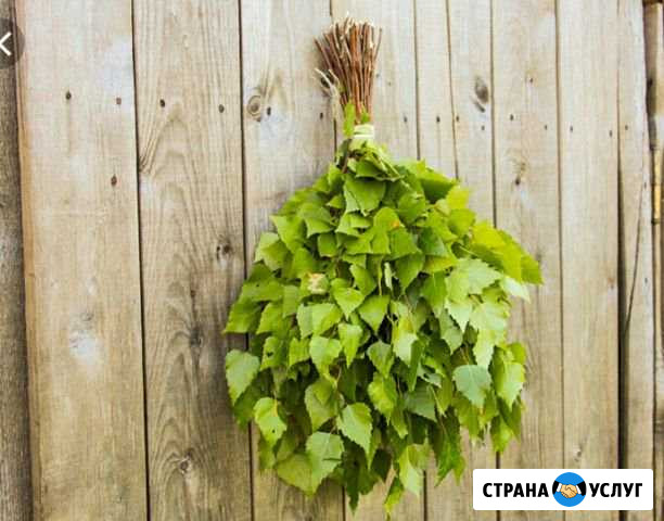 Веники Мелеуз - изображение 1
