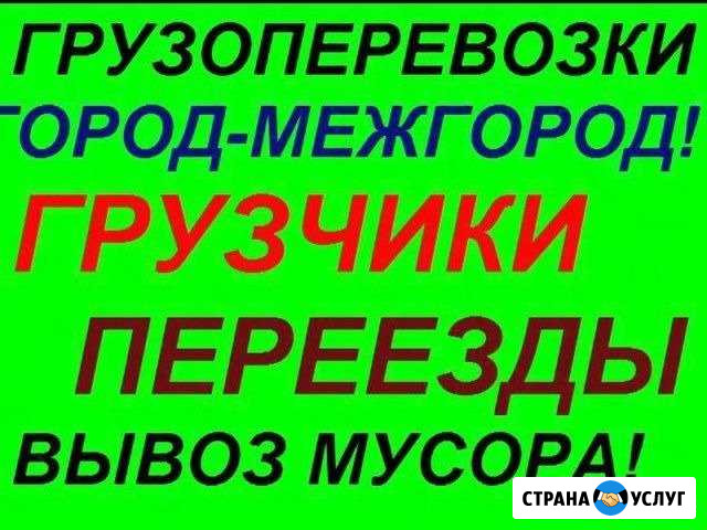 Переезды Волгоград - изображение 1