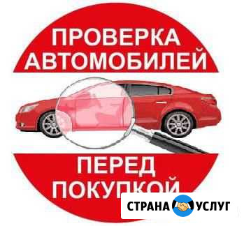 Проверка авто. Автоподбор Курск - изображение 1