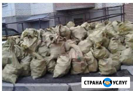 Вывоз мусора Троицк - изображение 1