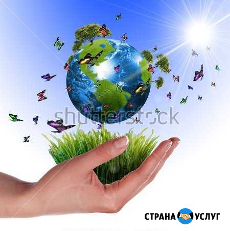 Дезинфекция помещений и авто Ижевск - изображение 1