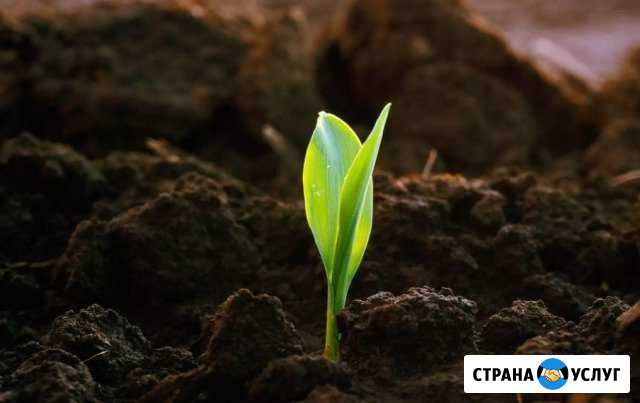 Чернозем с доставкой Курск - изображение 1