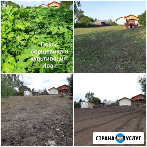 Пахота, культивация, покос борщевика и травы Апрелевка - изображение 1