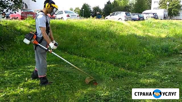 Кошу траву триммером Котельниково - изображение 1