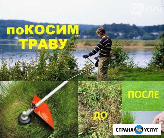 Покос травы Чапаевск - изображение 1