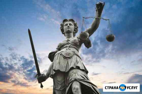 Все виды юридических услуг. Адвокат. Юрист Волгоград