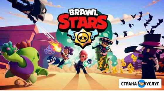 Тренер по Brawl stars Торжок